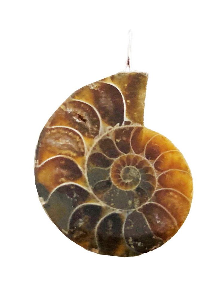 pendentif-ammonite-pierre-brute