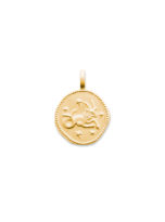 27696012-pendentif-capricorne-signe-astrologique-1-plaque-or.jpg